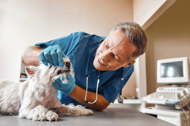 Best Emergency Root Canal Treatment in Mathis, TX